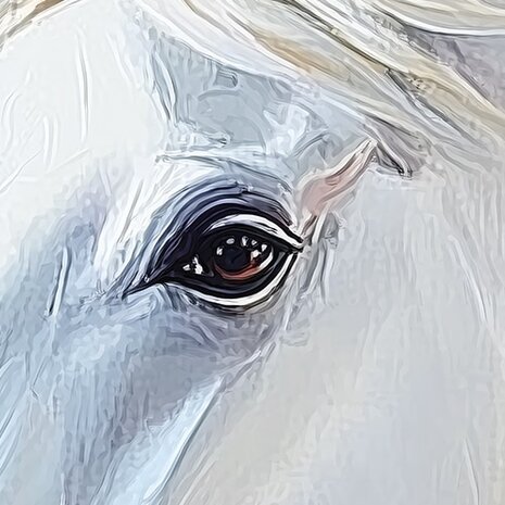 Wit Paard fotobehang V23