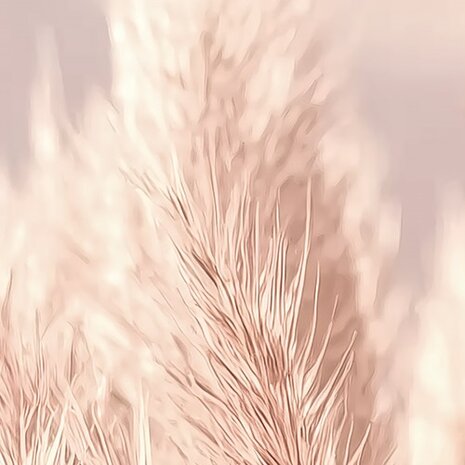 Zachtroze Pampas Gras fotobehang 