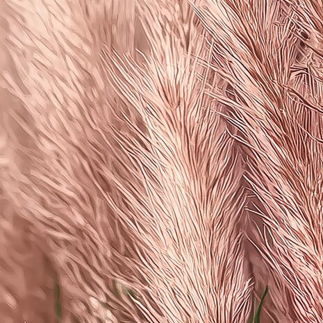 Zachtroze Pampas Gras fotobehang 