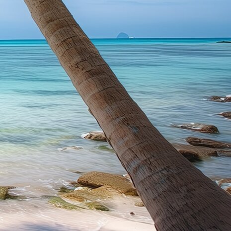 Tropisch Strand fotobehang V54