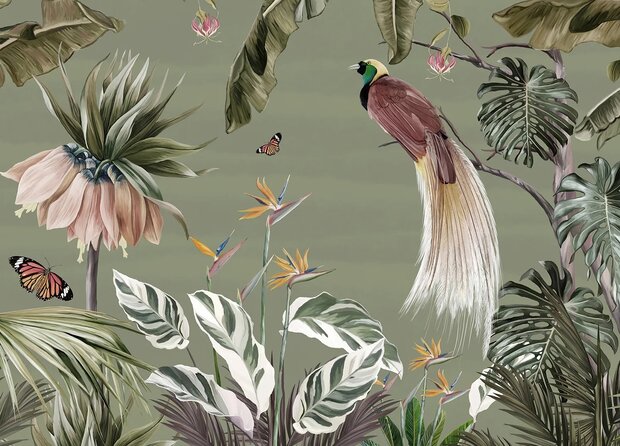 Tropisch Jungle Fotobehang met Paradijsvogel