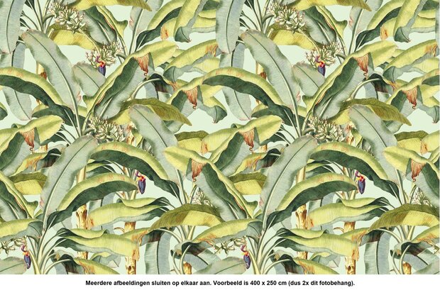 2X Banana Grove fotobehang naast elkaar