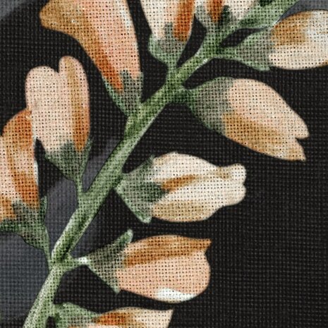 Bloemen fotobehang Nuit Royale