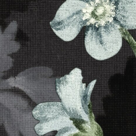 Bloemen fotobehang Nuit Royale