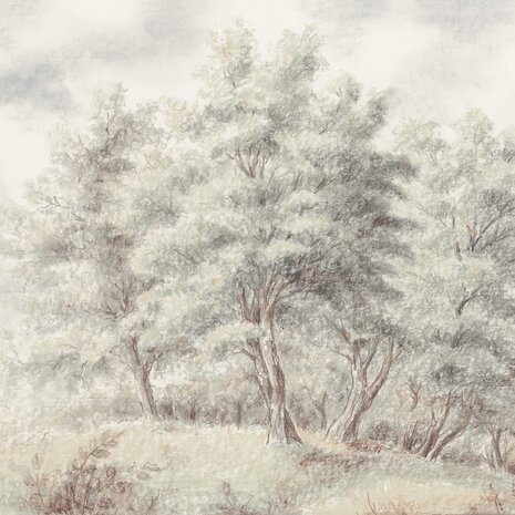 Bos fotobehang Grove