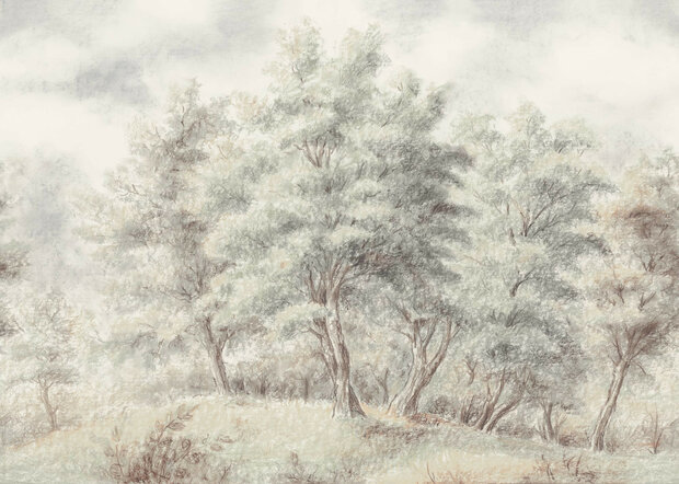 Bos fotobehang Grove