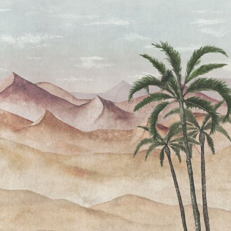 Woestijnlandschap fotobehang Silent Sands