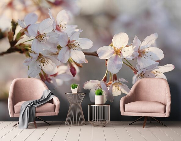 Kersenbloesem fotobehang Sakura
