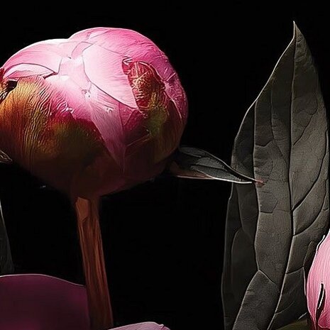 Roze Pioenrozen fotobehang 