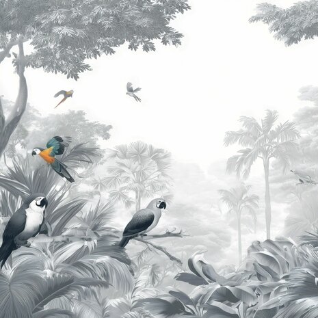 Jungle fotobehang Grijstinten met Papegaaien