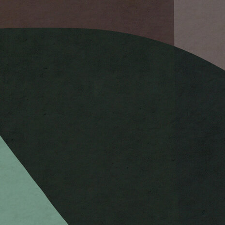 Abstract fotobehang Form Symbiotic