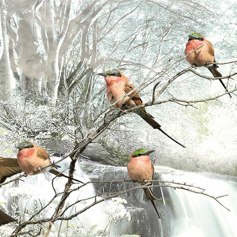 Japanse tuin fotobehang Fable