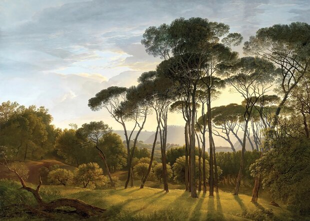 Landschap fotobehang bomen &ndash; Klassiek landschap