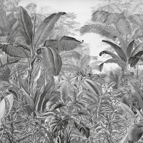 Jungle fotobehang Evolution