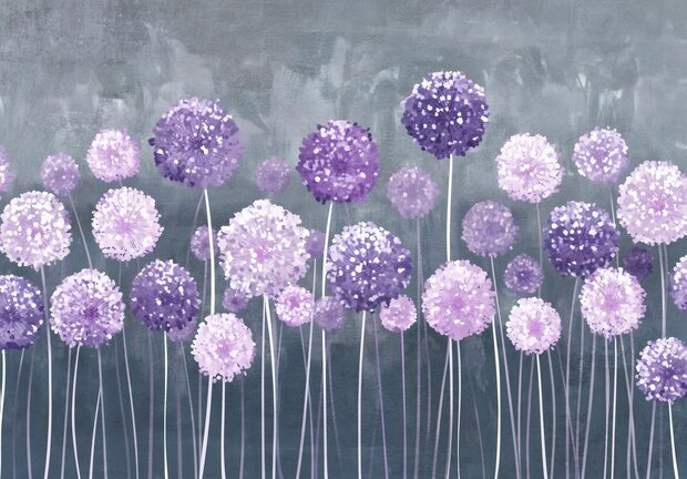 Paarse bloemen fotobehang Alliums