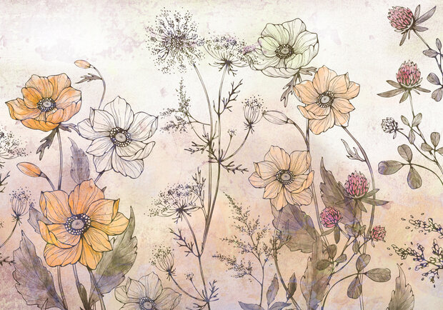 Aquarel Veldbloemen fotobehang