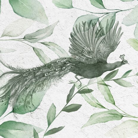 Botanisch fotobehang Pauw in Groen