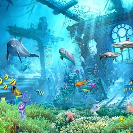 Onderwaterwereld fotobehang Ocean Ruins