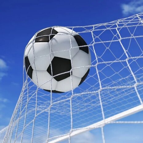 Voetbal fotobehang &ndash; Bal in het Doel