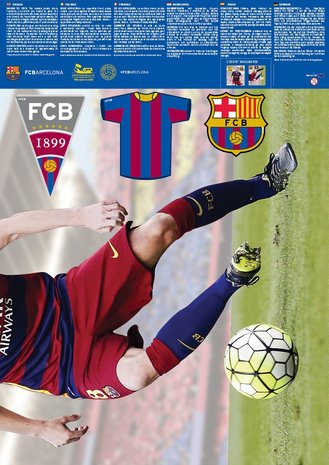 Iniesta muursticker