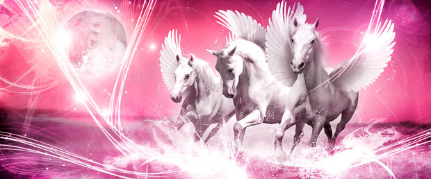 Paarden fotobehang Pegasus H roze