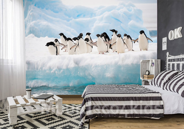 Fotobehang Pinguins
