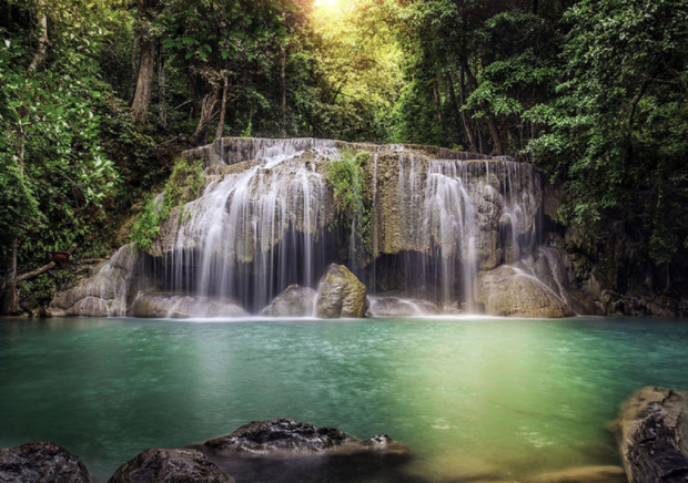 Bos fotobehang waterval