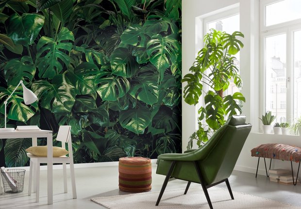 Tropical Wall fotobehang