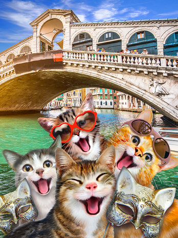 Katten behang Selfie Italië