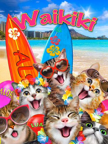 Katten behang Selfie Waikiki