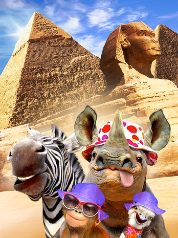 Selfie behang Jungledieren in Egypte