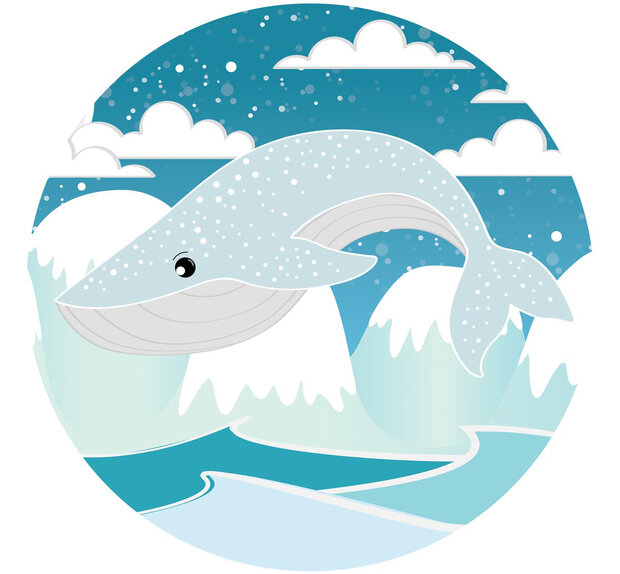 Behangcirkel Walvis