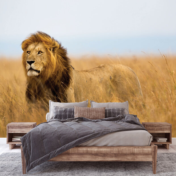 Fotobehang Leeuw