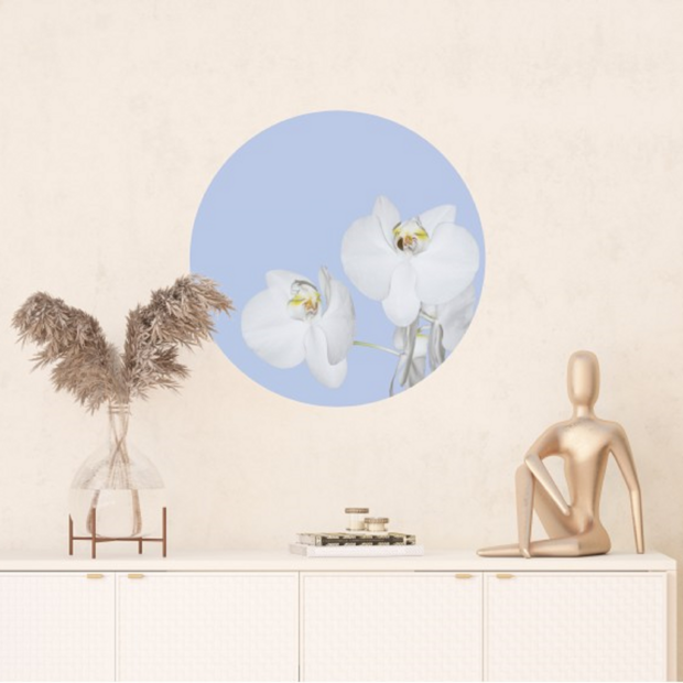 Orchidee cirkel 70 cm