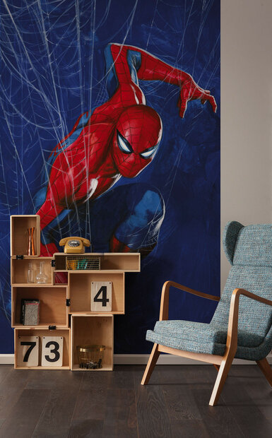Spiderman Spider Web behang