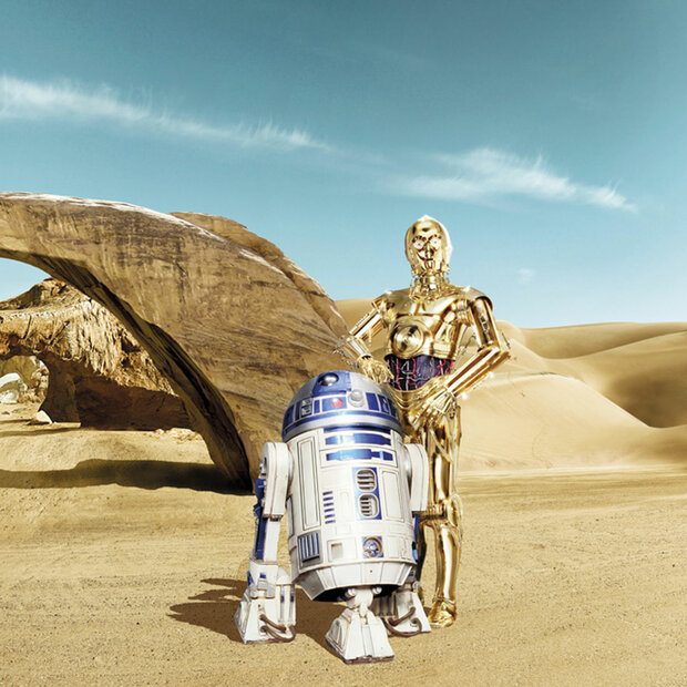 Star Wars fotobehang Lost Droids