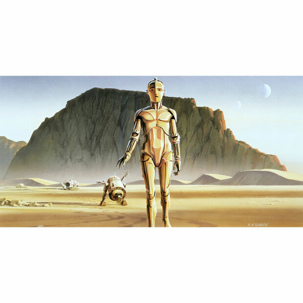 Star Wars Classic fotobehang RMQ Droids