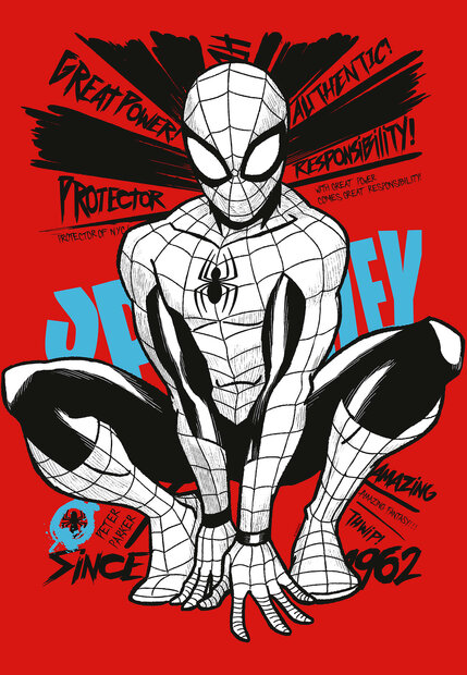 Spiderman canvas schilderij Protector of NYC