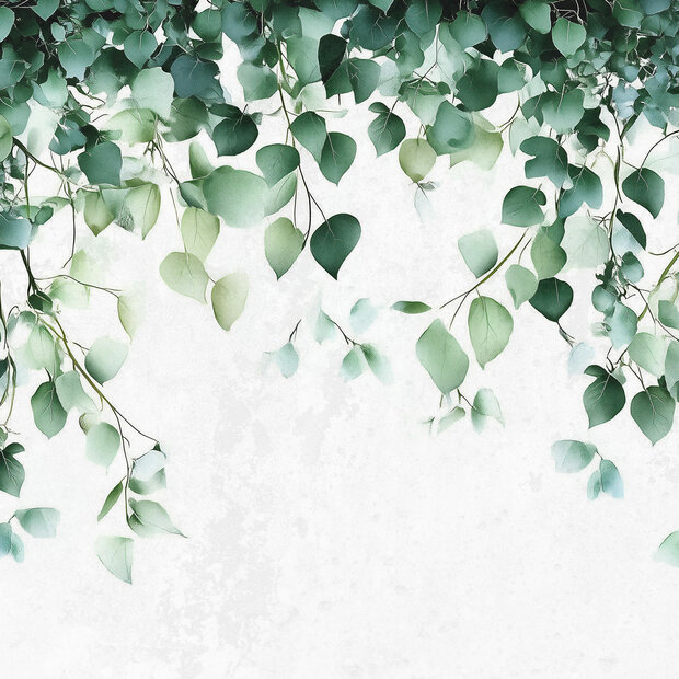 Hangende Eucalyptus bladeren fotobehang