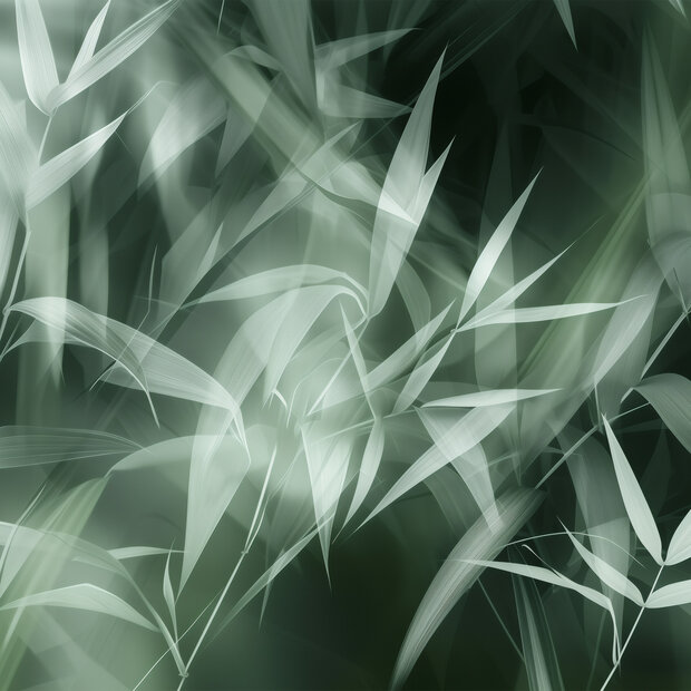 Bamboebladeren fotobehang 