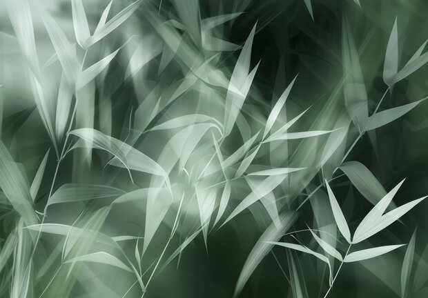 Bamboebladeren fotobehang 