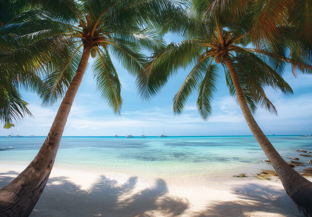 Tropisch Strand fotobehang V55