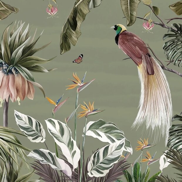 Tropisch Jungle Fotobehang met Paradijsvogel
