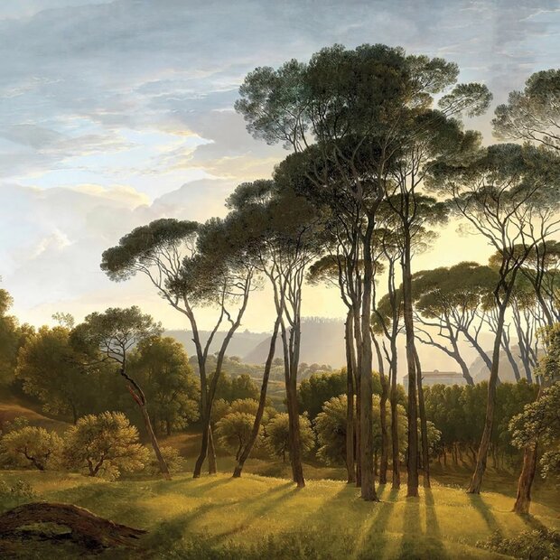 Landschap fotobehang bomen &ndash; Klassiek landschap