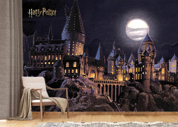 Harry Potter Hogwarts fotobehang