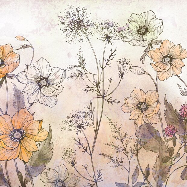 Aquarel Veldbloemen fotobehang