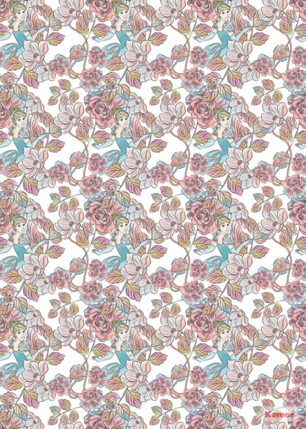 Disney Princess Assepoester vlies behang