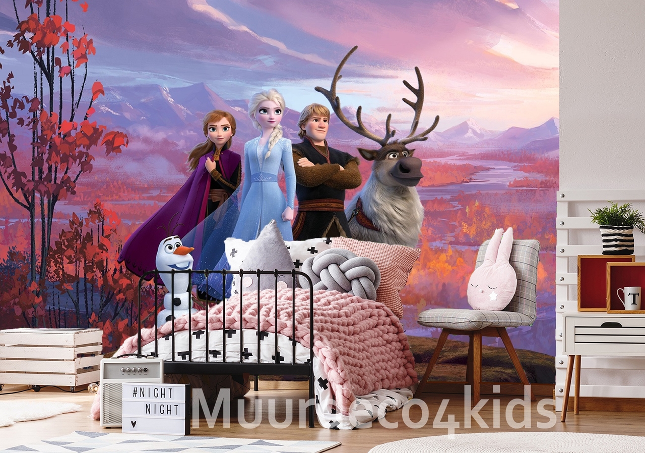 Disney Frozen vlies fotobehang 360x270cm