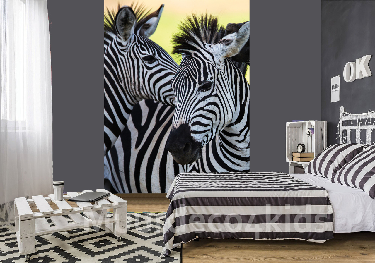 Zebra fotobehang | Papier - Vlies Vinyl behang | Muurdeco4kids