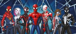 Spiderman behang poster Friends